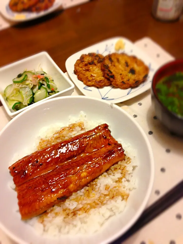 土用の丑の日、うな丼！|ツナコさん