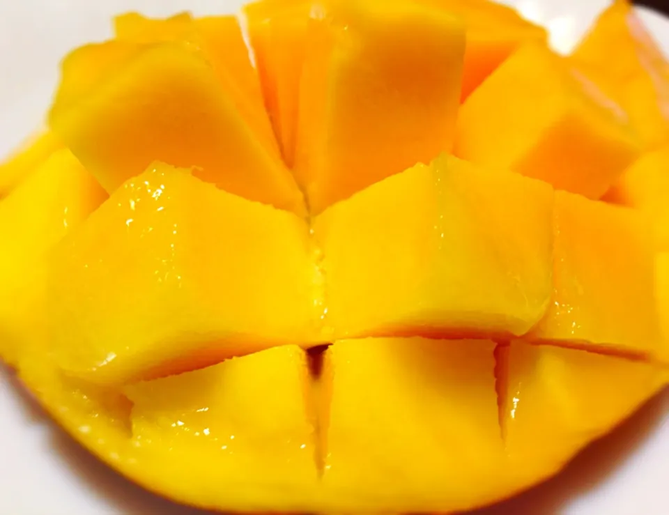 ジャンボ完熟マンゴー|mottoさん