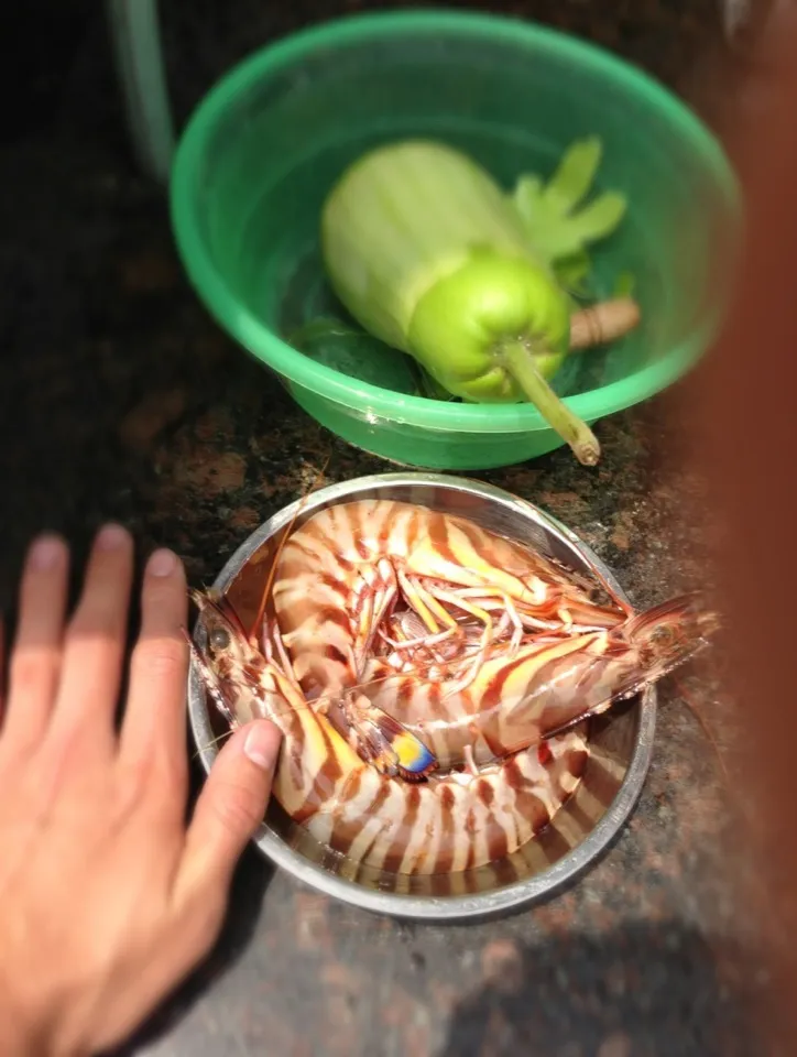 Snapdishの料理写真:Big Shrimp|Simon Leoさん