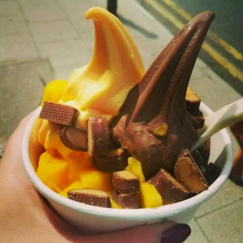 Chocolate and orange frozen yogurt with chocolate fudge and mango pieces|hollyさん