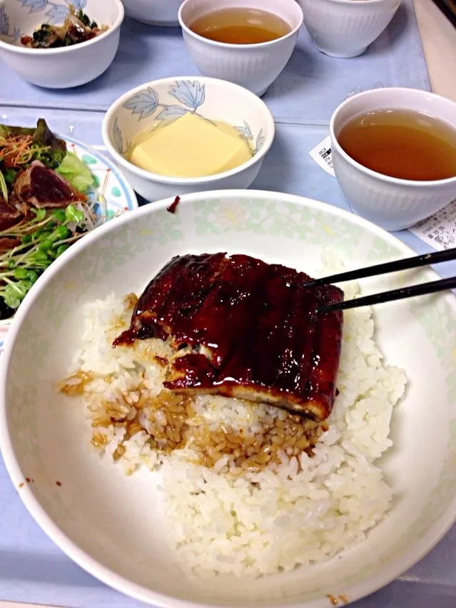 岡山大学の学食〜  うなぎだよ〜 息子がうなぎ食べたと自慢してきた〜笑|ベタママさん