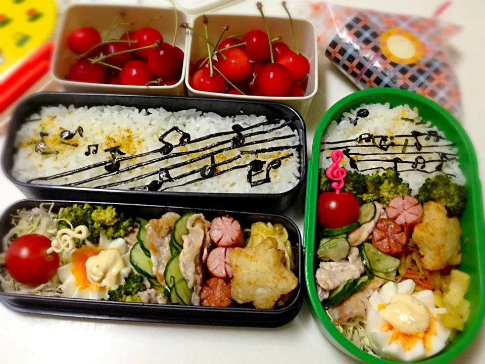 7/24 冷しゃぶ弁当|Mikaさん