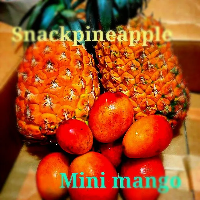 ♡snackpineapple&minimango♡|hanaさん