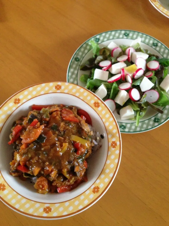 野菜カレー、モッツァレラチーズのサラダ|mamiさん