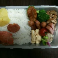 旦那弁当|まりさん