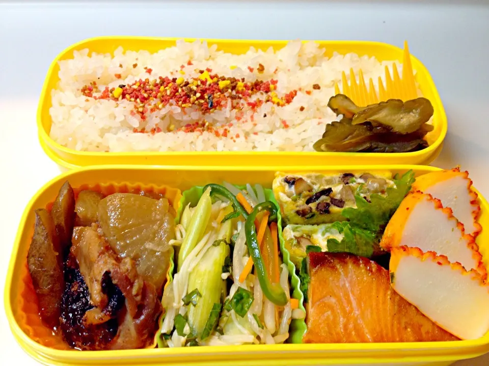 Snapdishの料理写真:鶏牛蒡大根弁当|Miwako Tomizawaさん