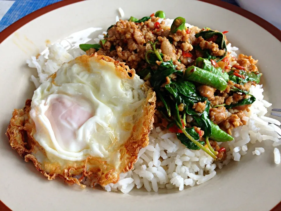 ผัดใบกะเพราไก่ใส่ไข่ดาว ガパオ鶏肉炒めご飯目玉焼きのせ@ระยอง タイのラヨーン|akiさん