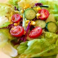 Snapdishの料理写真:vegetable salad 蔬菜沙拉