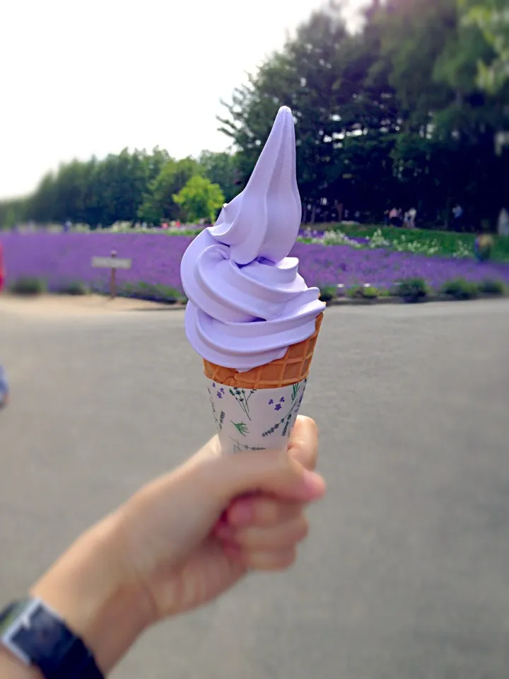 Hokkaido lavender softcream|PhUnGさん