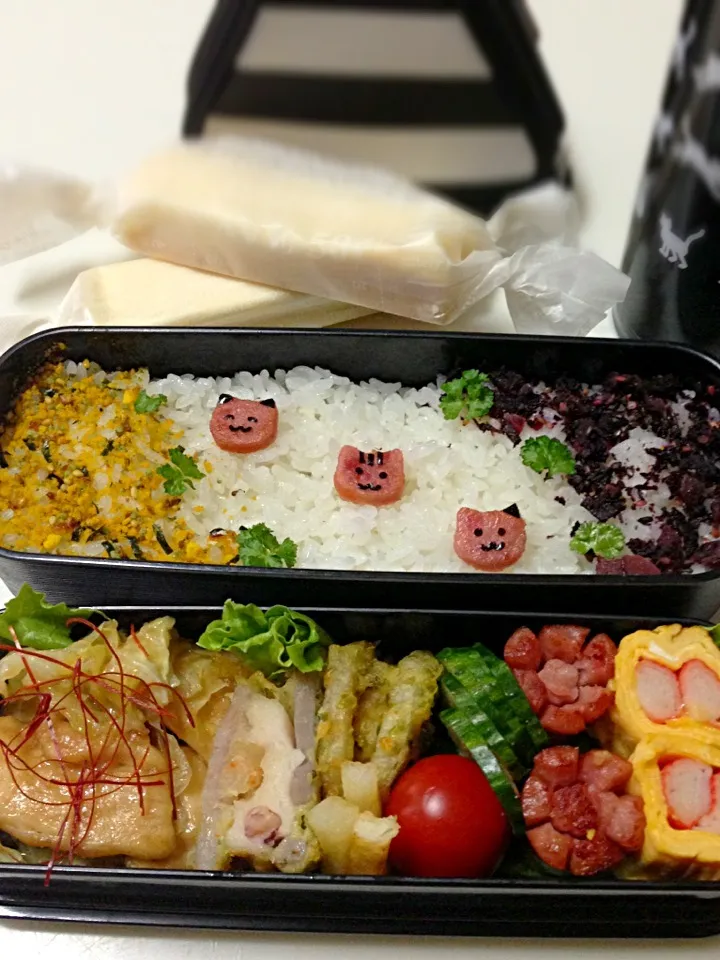 Snapdishの料理写真:7/27 鶏胸肉のバター醤油焼き弁当|Mikaさん