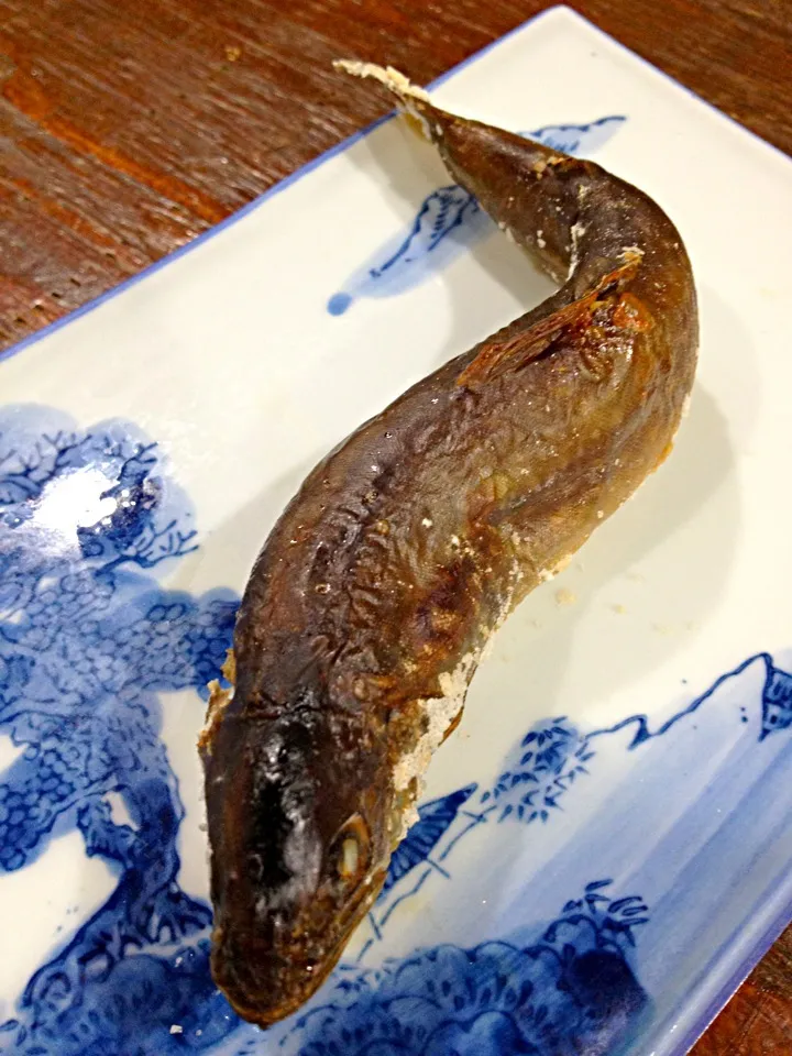 岩魚の塩焼き、川魚美味い店は、まちがいない|ハルさん