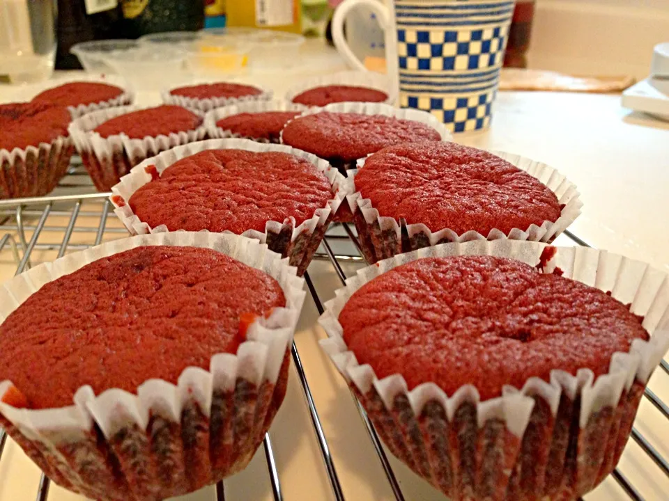 Red velvet cupcakes fresh out of the oven|Kirsten Adachiさん