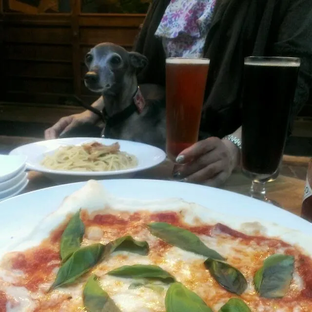 ブリマーブルーイング レッドエール|ふぃるまめんとさん