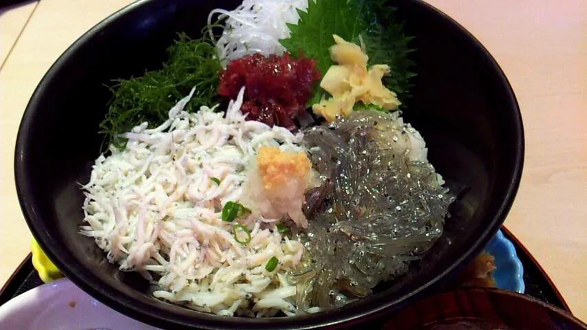 釜あげしらす&生しらす丼|まゆまゆさん