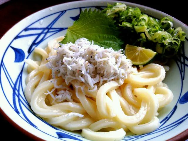 しらすおろし醤油うどん|毛利  都亜さん