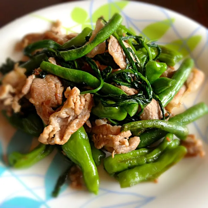 庭から収穫して10分で出来上がり「夏野菜炒め」♬|よしさん