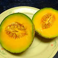 Homegrown cantaloupes|Kimberly Scottさん