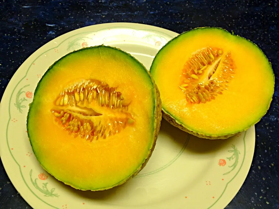 Homegrown cantaloupes|Kimberly Scottさん