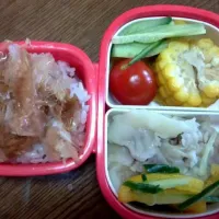 Snapdishの料理写真:お弁当+｡:.ﾟヽ(*´ω`)ﾉﾟ.:｡+ﾟ|hanakoさん