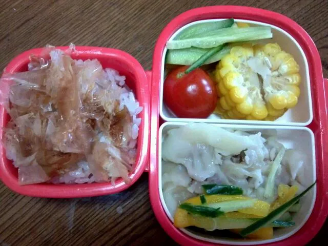 お弁当+｡:.ﾟヽ(*´ω`)ﾉﾟ.:｡+ﾟ|hanakoさん