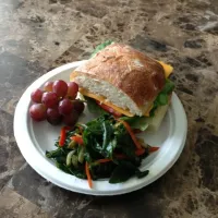 Paper plate lunch! Veggie and cheese sandwich on ciabatta with raw marinated collard greens.|erikka hartさん