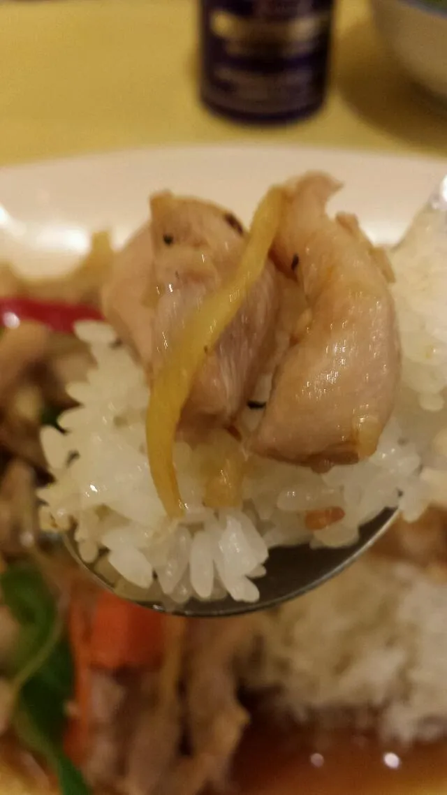 Snapdishの料理写真:【渋谷ティヌーン】鶏肉炒め物がけごはん|うめロクさん