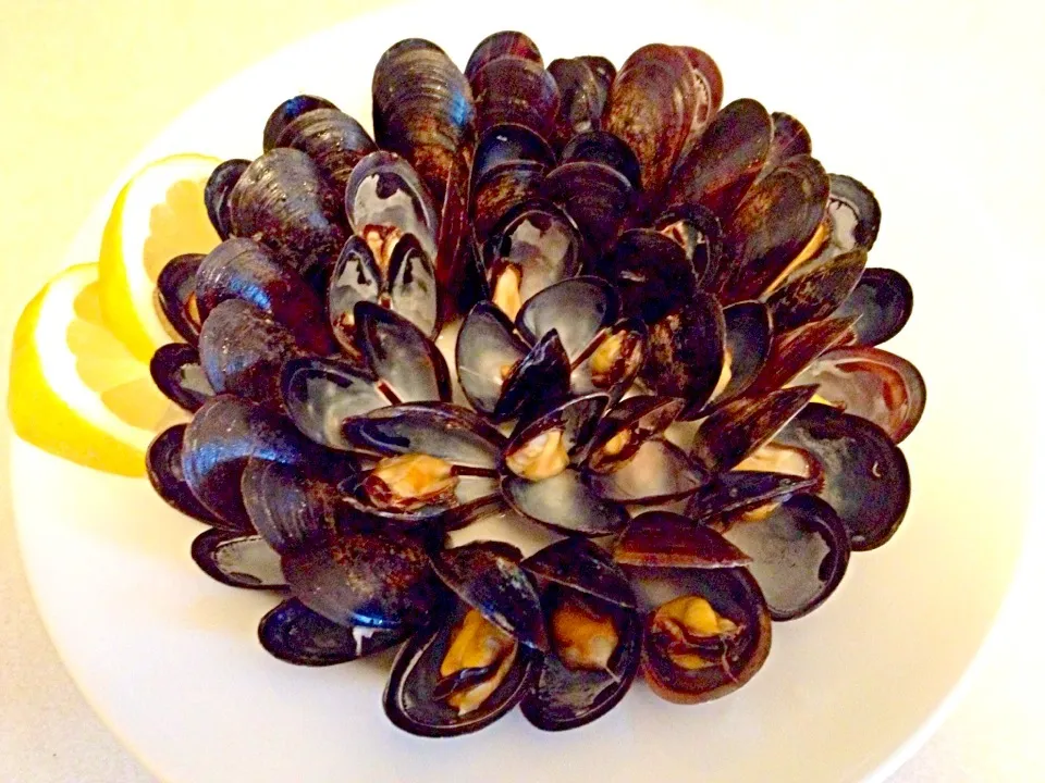 Mussels|Bridgetさん