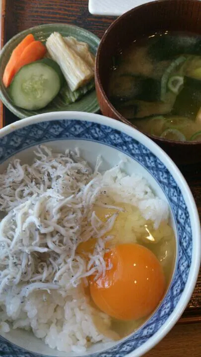 【駒場東大前 菱田屋】豚肉塩麹づけ焼きからの､しらす玉子かけ御飯|うめロクさん