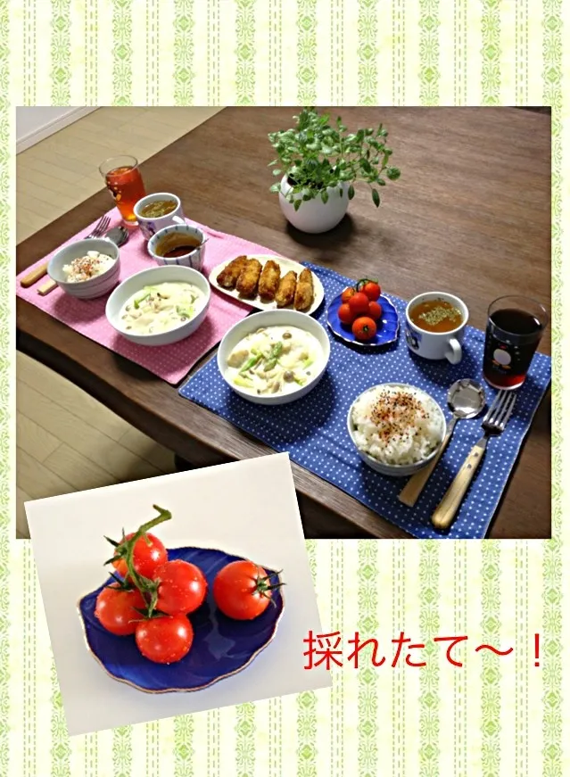 Snapdishの料理写真:鱈のクリーム煮、豚肉と茄子のロール揚げ、採れたてミニトマト🍅、コンソメスープ、ふりかけご飯|pentarouさん