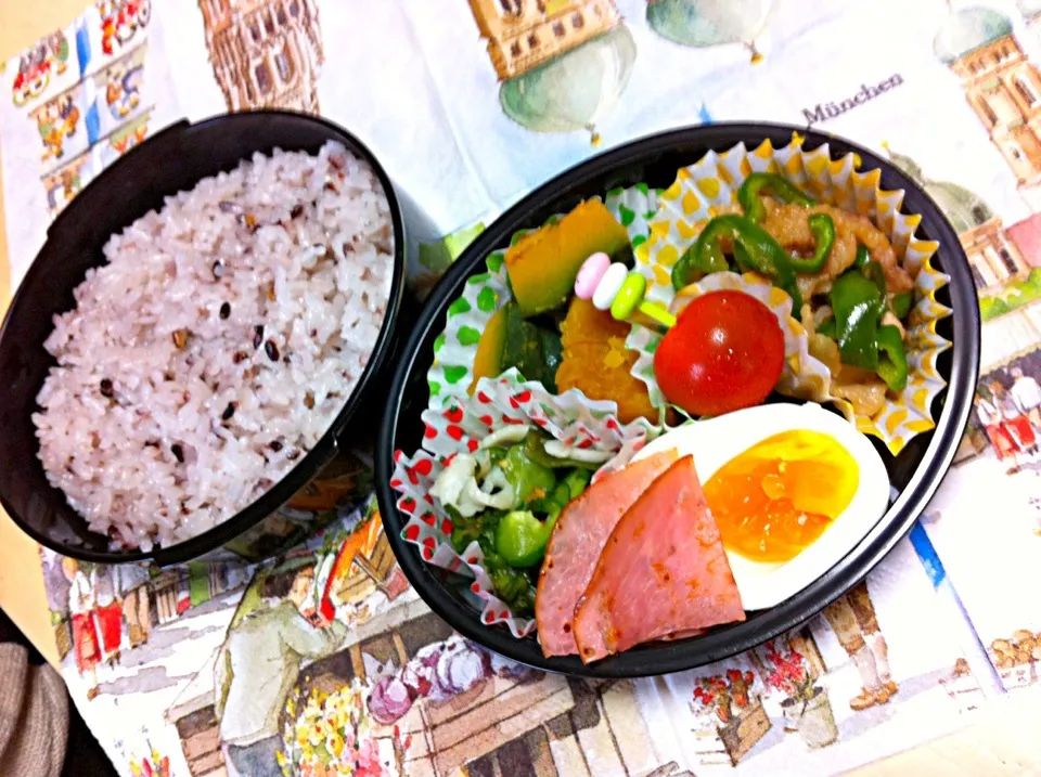 今日のお弁当((*ﾟ∀ﾟ))|かずさん