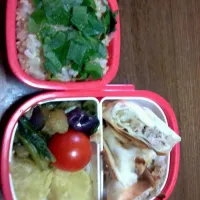 Snapdishの料理写真:今日のお弁当(＾ω＾≡＾ω＾)|hanakoさん