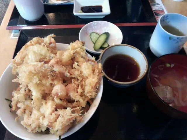 白えびのかき揚げ丼|のむのむさん