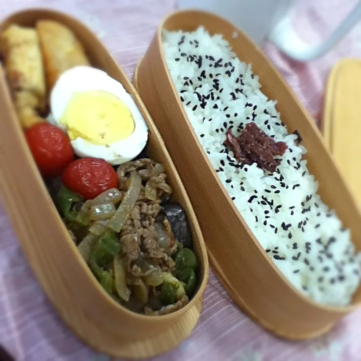 今日のOL弁当。Today's my lunch box.|hoppycowさん