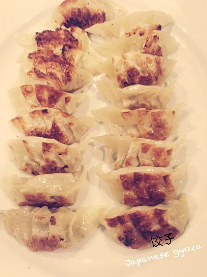 饺子 Japanese gyoza*|yongyongさん