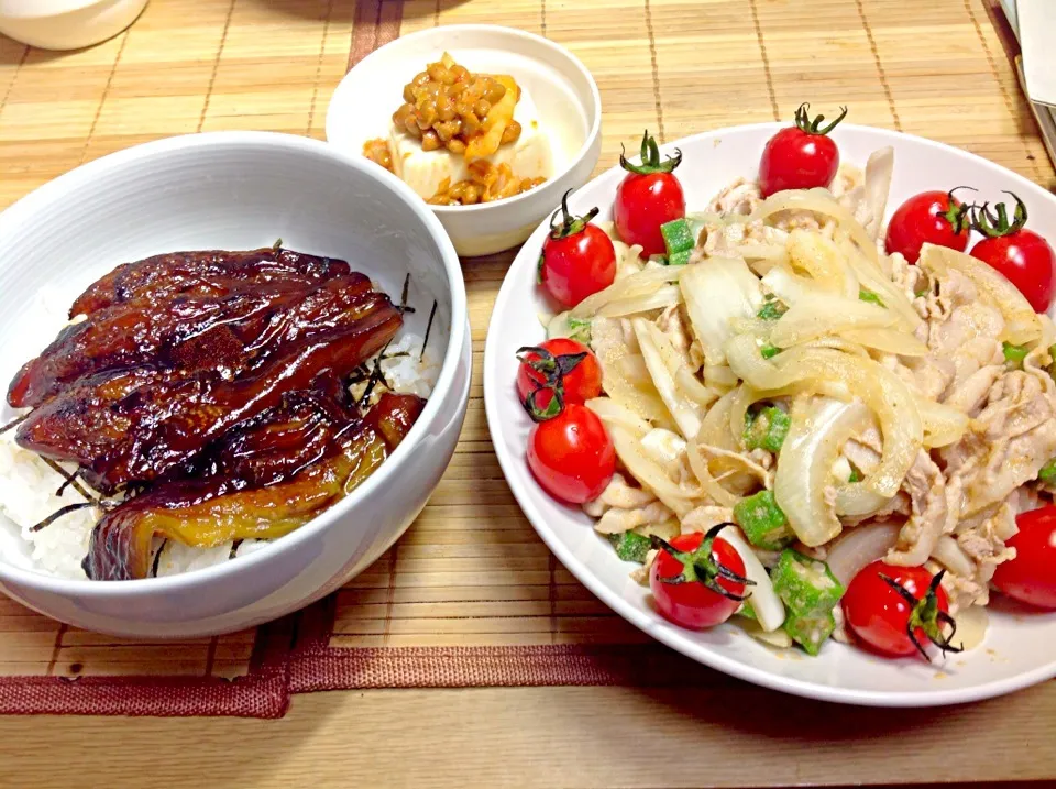 茄子蒲焼丼、胡麻ポン酢の冷しゃぶ、キムチ納豆冷奴|マカロニ公爵さん