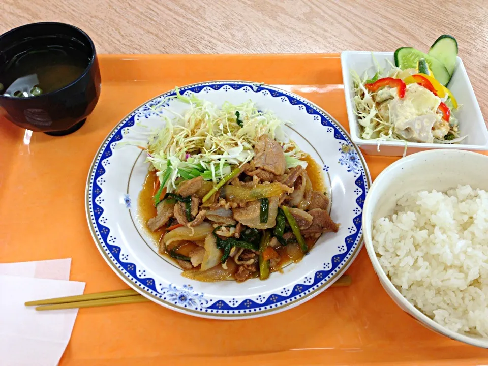 豚肉ソテー胡麻味噌他♪( ´▽｀)|すかラインさん