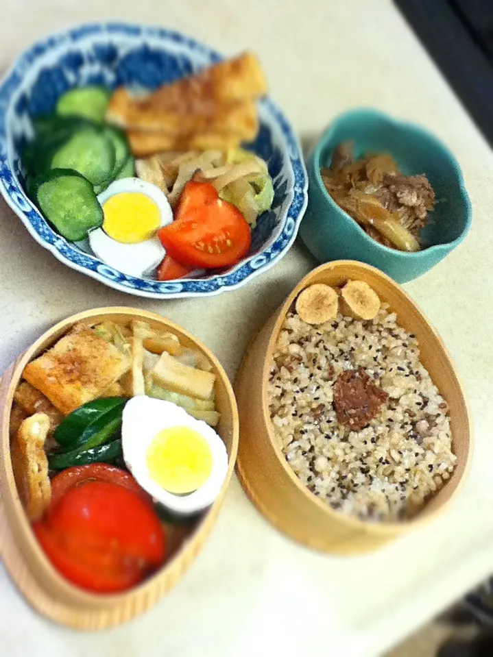 Snapdishの料理写真:今日のJKランチプレート＆OL弁当。Today's lunch.|hoppycowさん