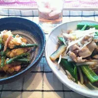 Snapdishの料理写真:豚肉と茄子の味噌炒め&馬鈴薯と隠元の胡麻和え|しるば☆さん