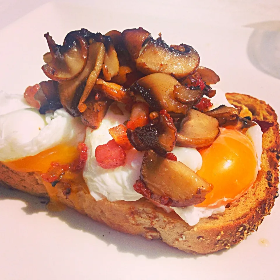 Snapdishの料理写真:Poached Eggs with sautéed mushrooms and bacon, on granary bread|Tracey Jamesさん