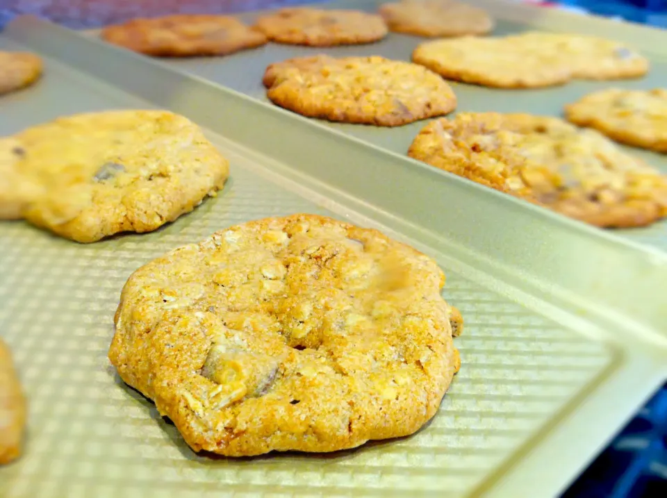 Oatmeal chocolate chunk cookies|rachel leonardさん