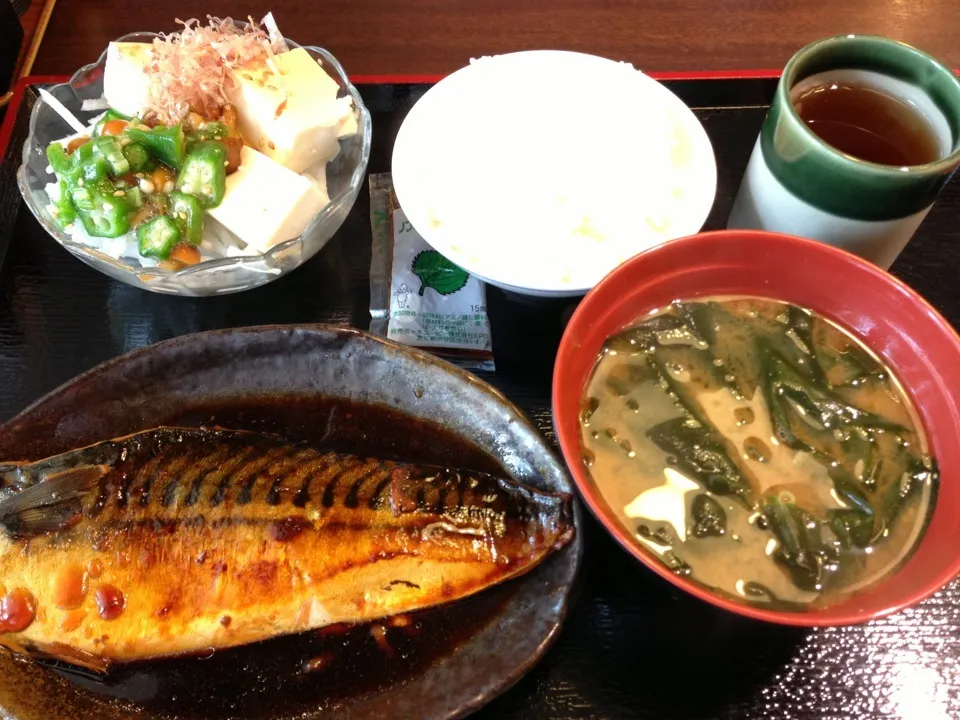 いろいろ。さば煮、豆腐とネバネバのサラダ|大石さん