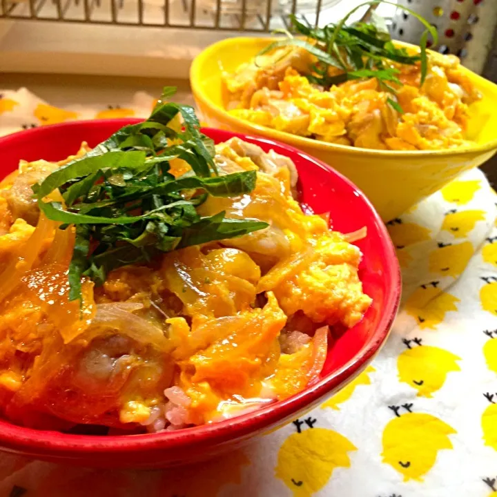 ☆ふわとろ♡玉子の親子丼☆|なぴこさん