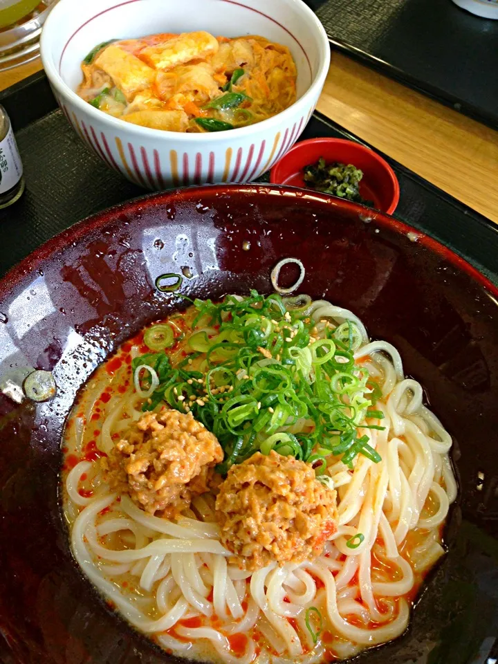 冷やし坦々うどん＆ミニ衣笠丼|伍龍やすさん