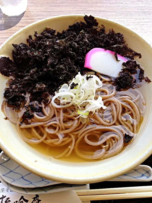 松吟庵 冷やし岩海苔そば|カウンター嬢さん