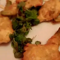 artichoke fritters|mike pumaさん