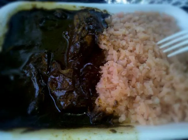 pollo en mole y arroz|Javier Rdz.さん