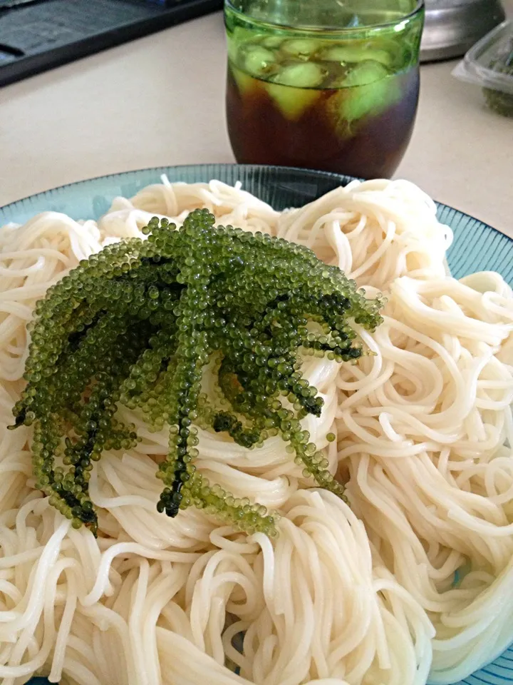 沖縄に戻りたい麺(*´ー｀*)笑|そらのんみこさん