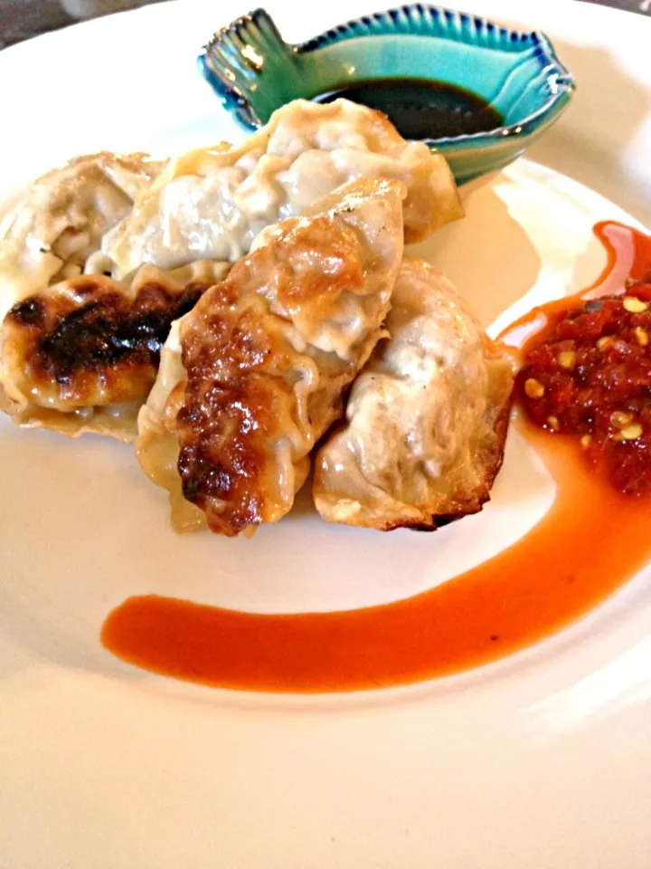 Snapdishの料理写真:Chicken Gyoza|chris bowdenさん