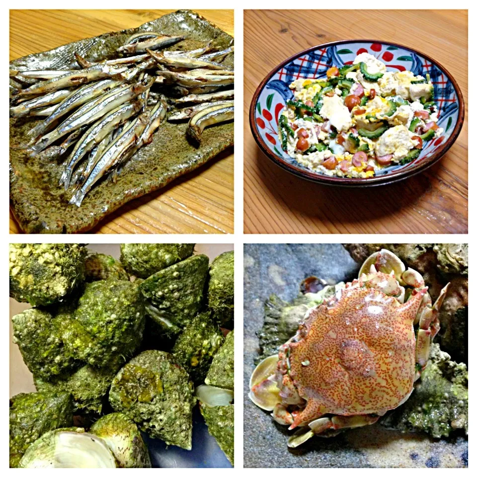 【今夜の実家ご飯】キビナゴの塩焼，ゴーヤチャンプル，タカジ，山芋短冊，オクラの湯かけ，茄子のお味噌汁，ご飯。海で15分くらい自由時間をもらって潜って獲ったタカジ。久しぶりに食べたけどうまうま〜。キビナゴは，枕崎であがった刺身用を塩焼に。キンゴキンゴのキビナゴがなんつぁ〜ならん（≧∇≦）|takuya KAWANOさん