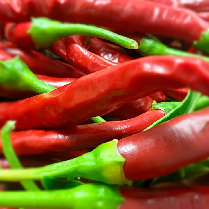 Cayenne Peppers!|John Tompkinsさん